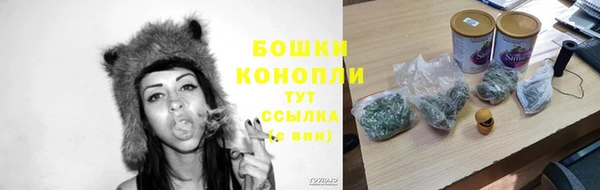 эйфоретик Ельня