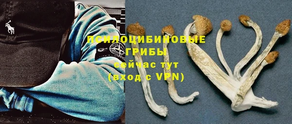 эйфоретик Ельня